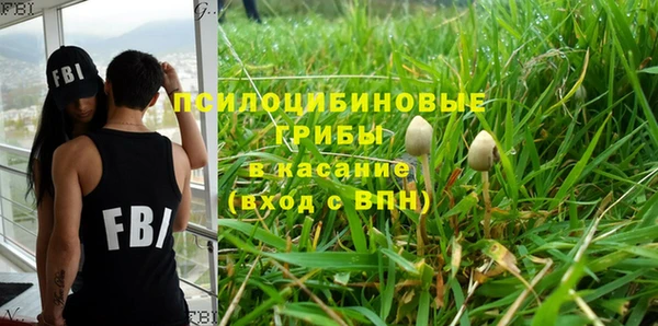 альфа пвп Гусь-Хрустальный