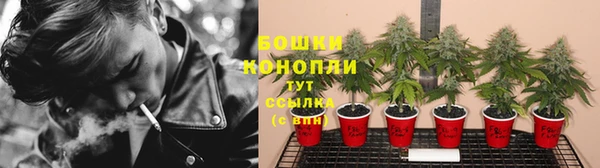 марихуана Гусиноозёрск