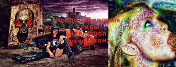 спайс Гусев