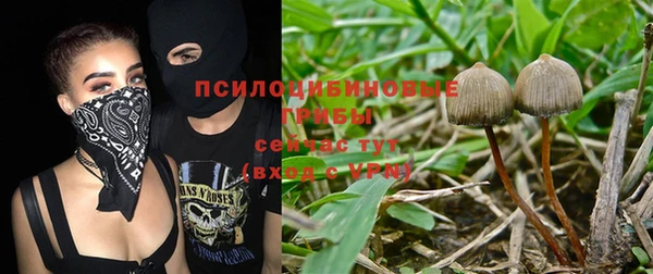 спайс Гусев