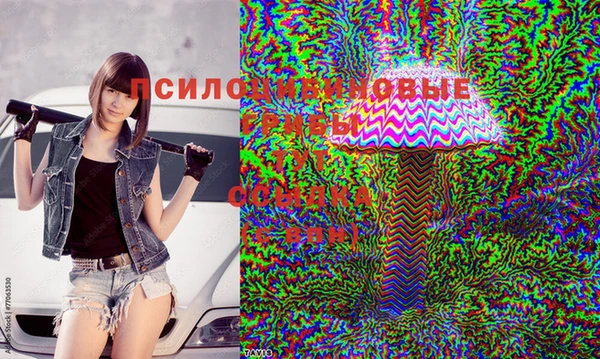 спайс Гусев