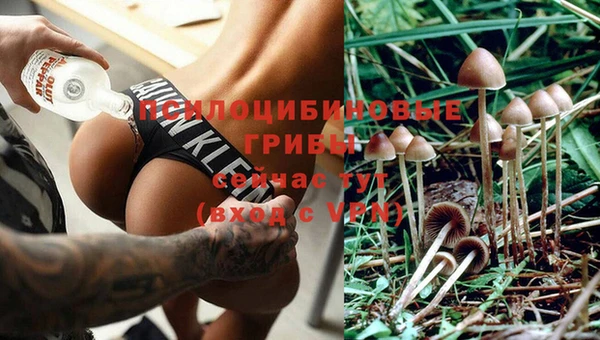 альфа пвп Гусь-Хрустальный