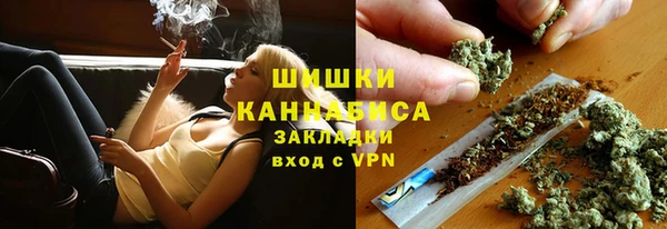 спайс Гусев