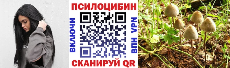 Псилоцибиновые грибы прущие грибы  Ачхой-Мартан 