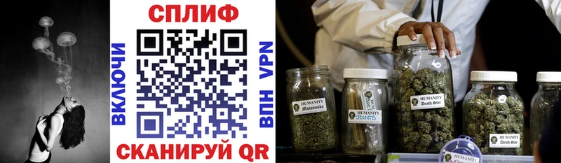 даркнет сайт  Ачхой-Мартан  Марихуана White Widow 